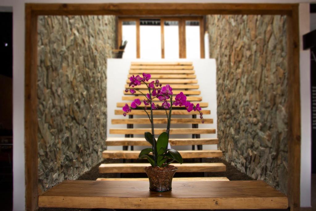 Fotografie z fotogalerie ubytování Hotel Santiurde SOLO ADULTOS v destinaci Mineral del Monte