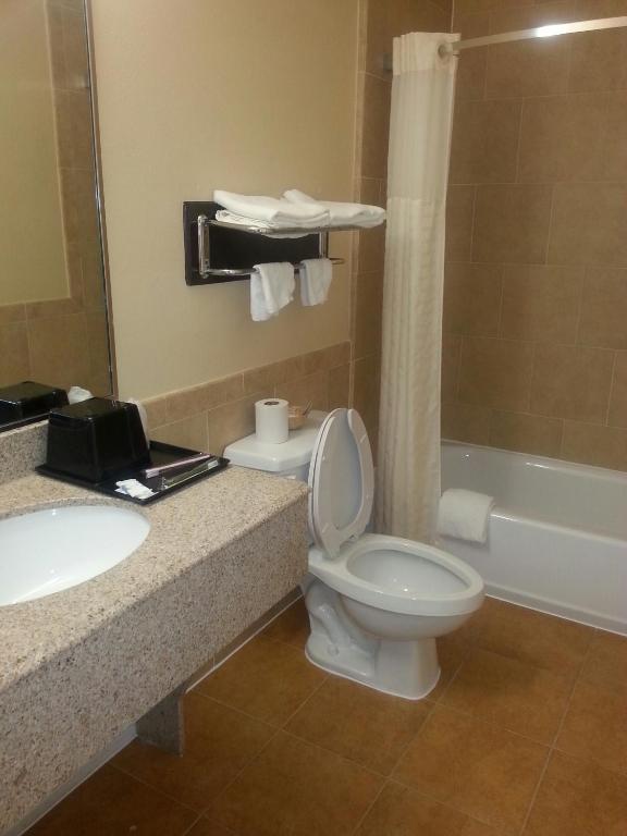Platinum Inn Katy - King Room With Spa Bath