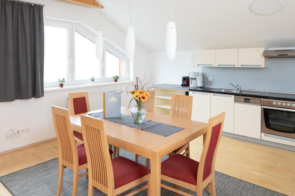 Kuchyň nebo kuchyňský kout v ubytování Sunshine Appartements Schilchegger