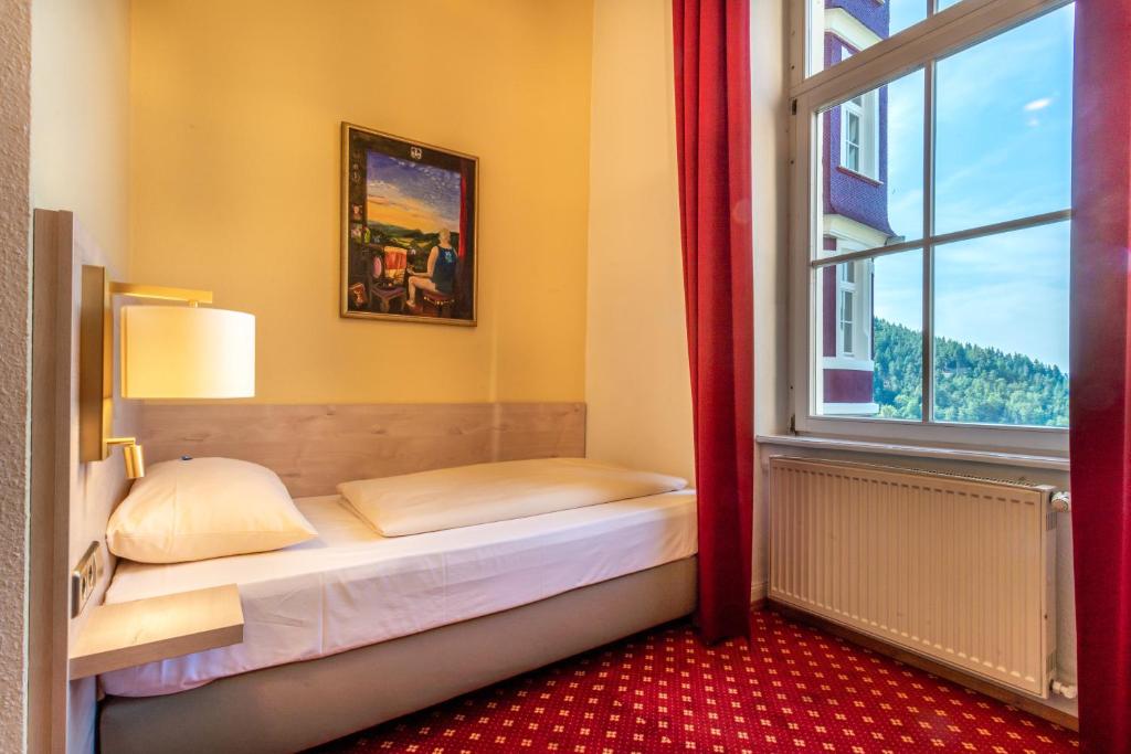 Hotel Schloss Hornberg - Habitación Individual Estándar