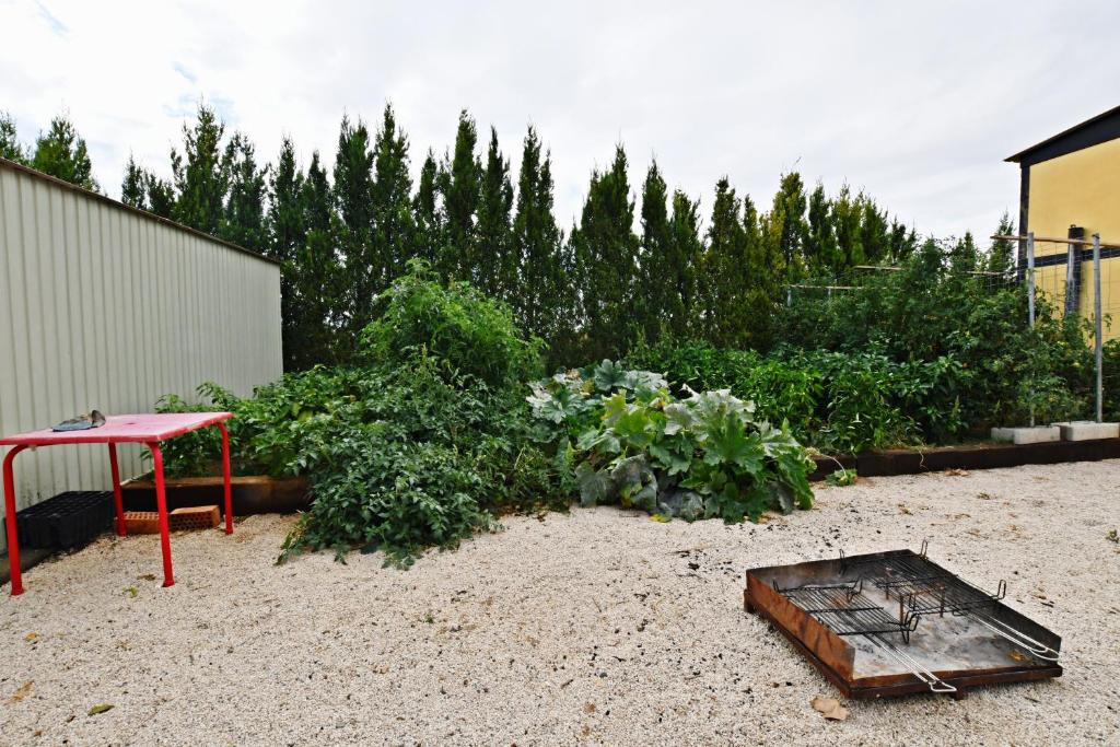 A garden outside Casa Rural Atalaya House