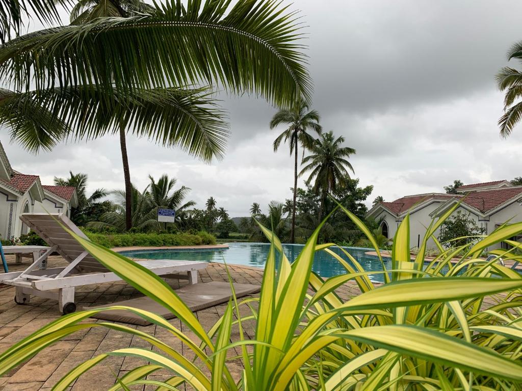 Heart & Soul Beautiful 1 BHK Apartment With Pool View Balcony - Housity