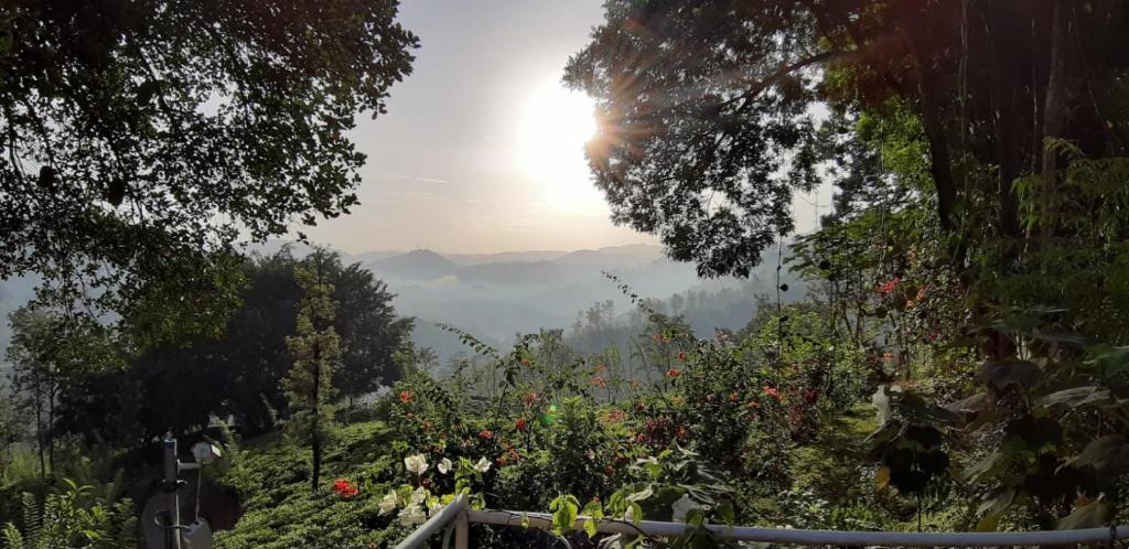Sithara Estate Bungalow - Deluxe Villa