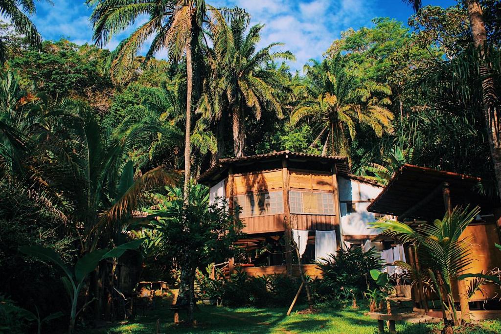a house in the middle of a forest with palm trees at Hostel Casa Conduru in Itacaré