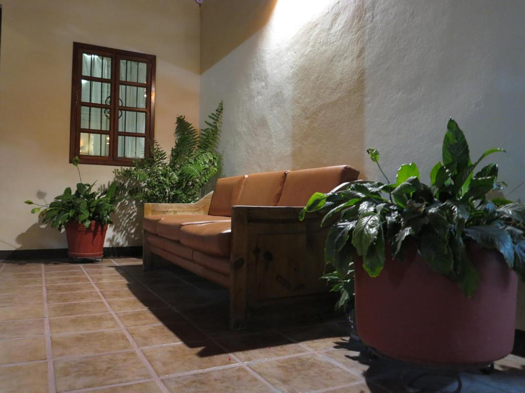 Fotografie z fotogalerie ubytování Hotel Ferri v destinaci Oaxaca