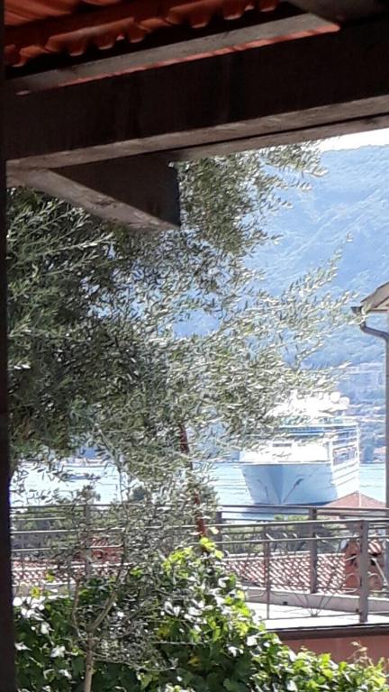 a view of the ocean from a window with a tree at Apartments Dionis in Kotor