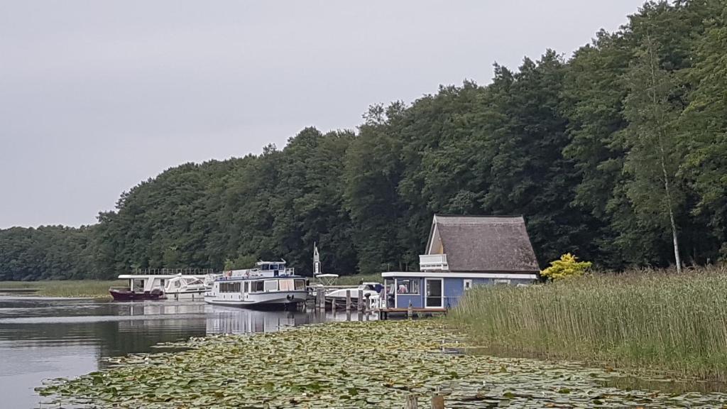 un grupo de barcos atracados en un río con árboles en Hausboot Mirabella am Müritz Nationalpark Festanliegend en Mirow