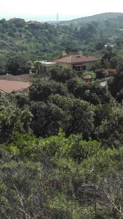 Príroda v okolí of the bed and breakfast