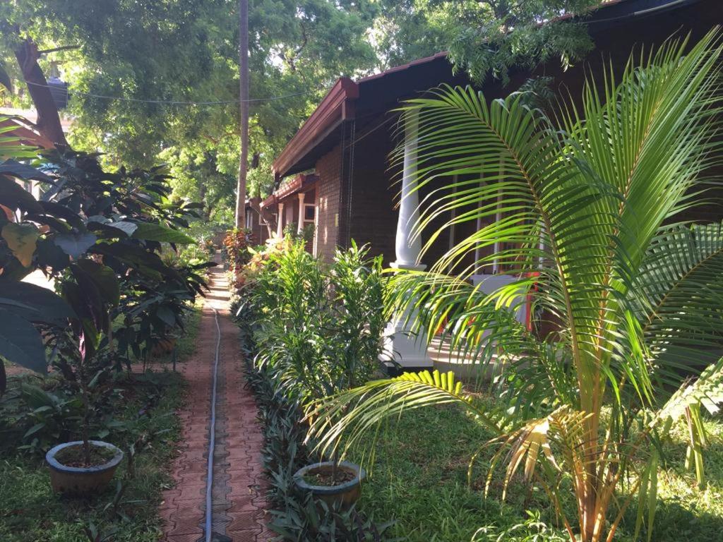 Zahrada ubytování So-J Beach Villa
