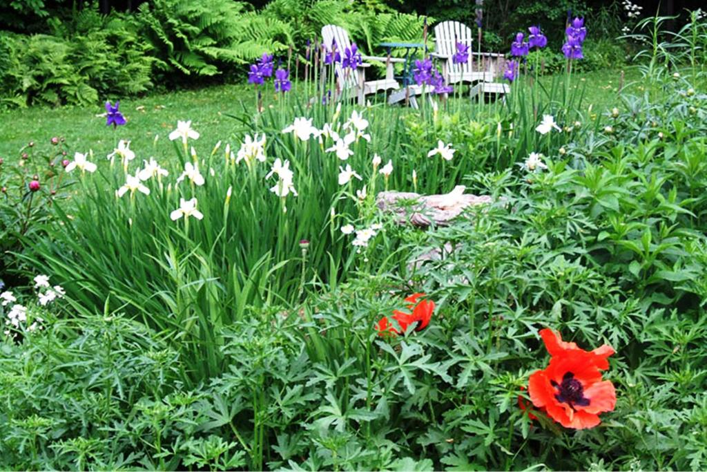 Zahrada ubytování B&B Hillhouse