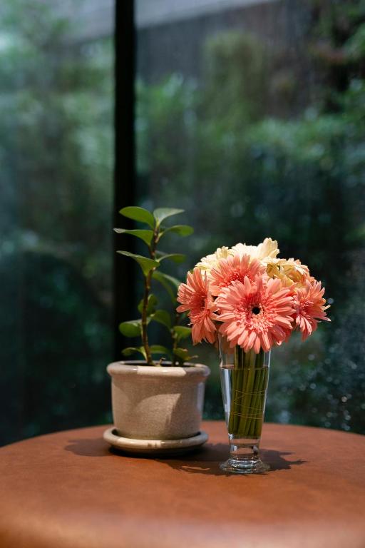 MiLa Thapae@Chiang Mai Old City - Resim 12