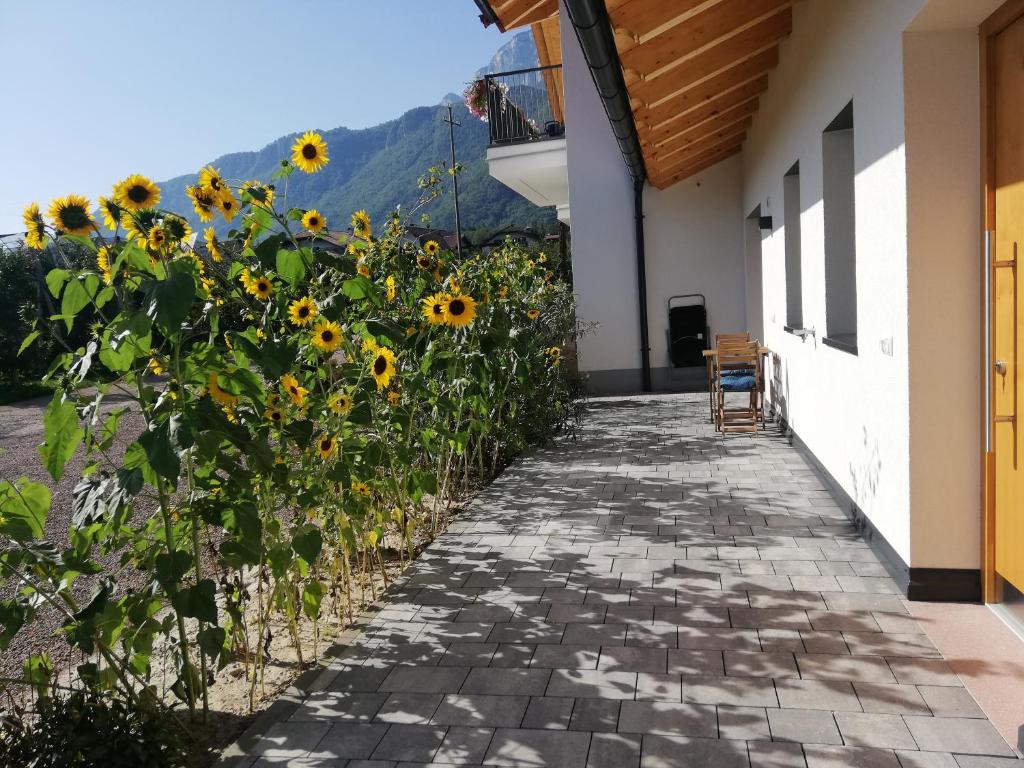 Nespecifikovaný výhled na hory nebo výhled na hory při pohledu z apartmánu