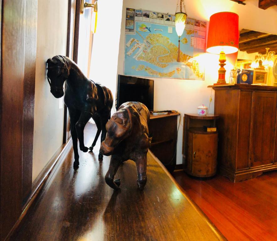Zwierzęta zatrzymujące się w obiekcie Venice Luca's house