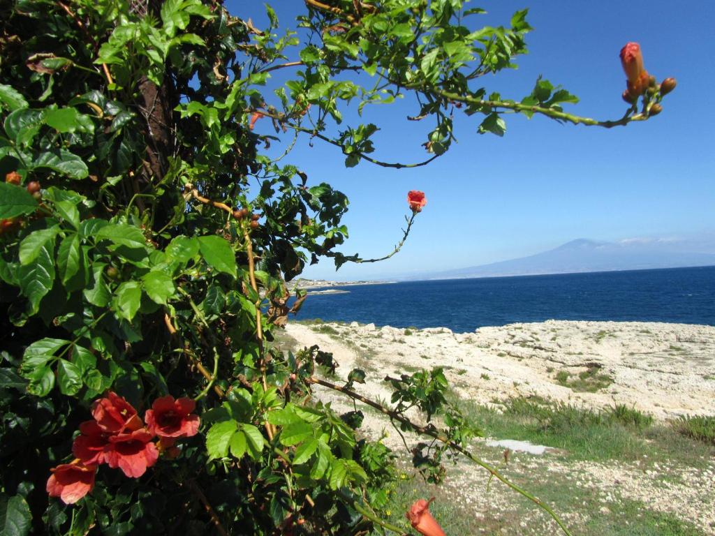 奧古斯塔的住宿－Villa Sicily Sul Mare Tra Catania e Siracusa，相簿中的一張相片