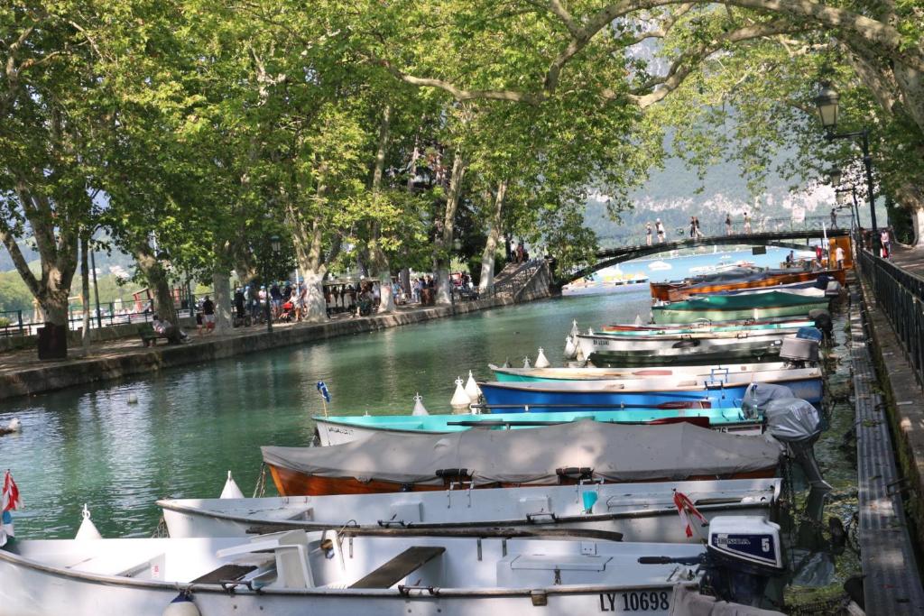 un groupe de bateaux est amarré dans une rivière dans l'établissement pause café avec sauna, à Annecy
