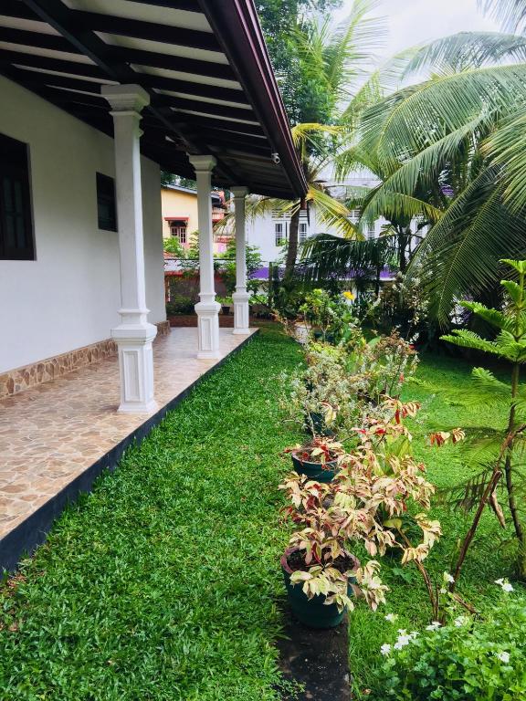 Zahrada ubytování Dreams Villa