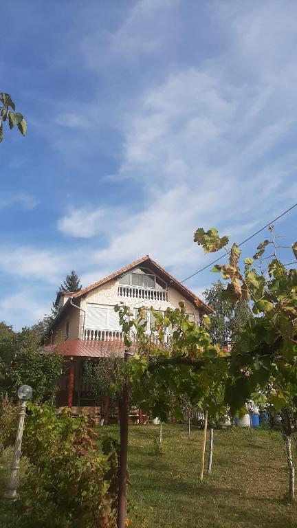 una casa con un árbol delante de ella en Aleksandar Vila BR en Vrdnik