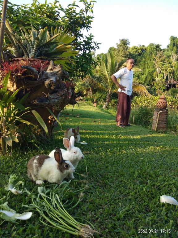 Zahrada ubytování Baan Suan Jantra Home Stay