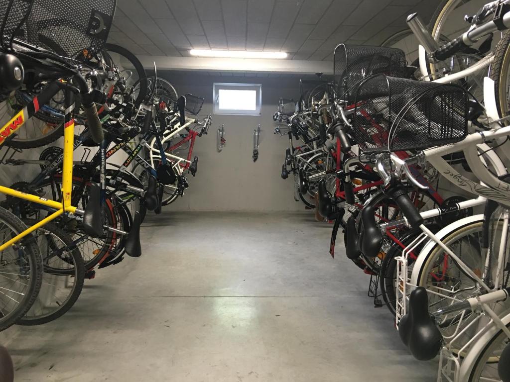 Jazda na bicykli v okolí ubytovania Apartamenty Bliżej morza - visitopl