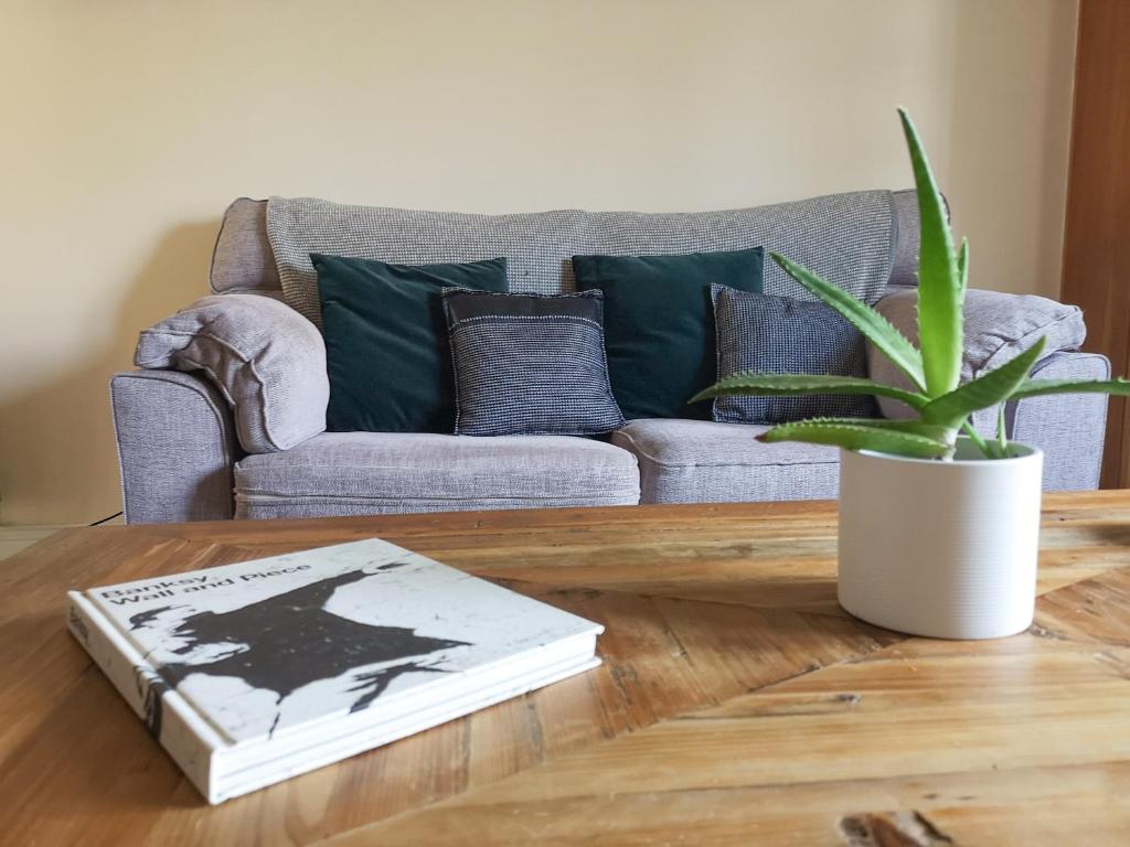 a living room with a couch and a table with a plant at CF10 House - Cardiff City Centre in Cardiff