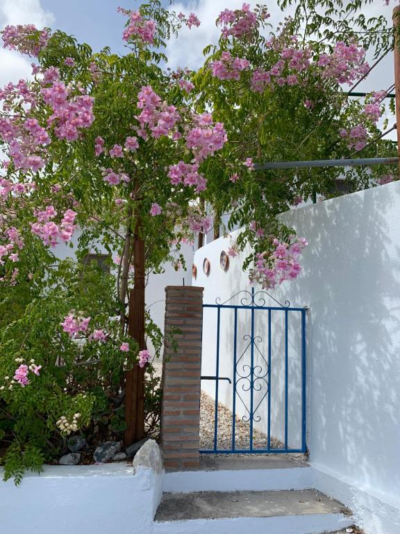 La Casita Blanca- La Almona Chica, El Chorro – Bijgewerkte ...