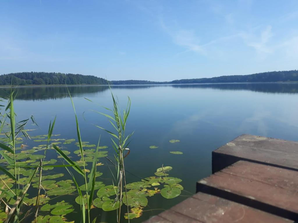Príroda v okolí dovolenkového domu