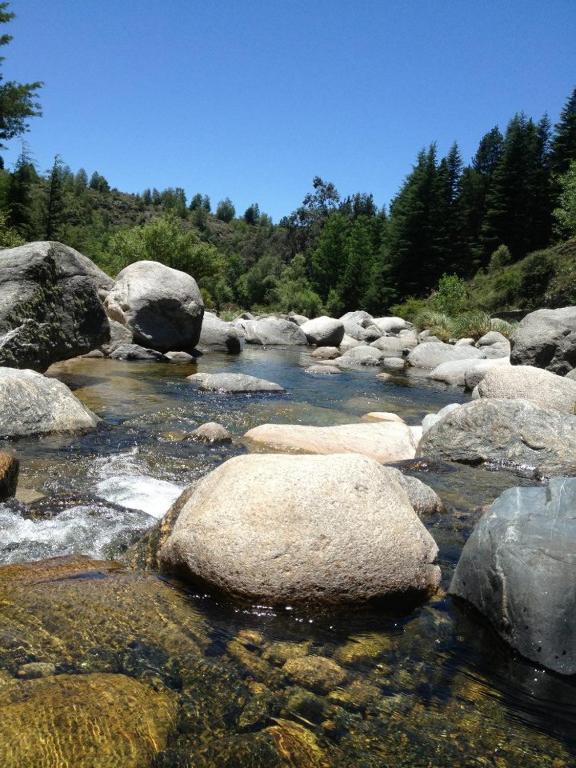 Los Abedules Cabañas