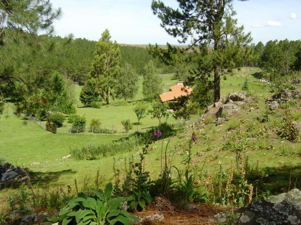 Los Abedules Cabañas