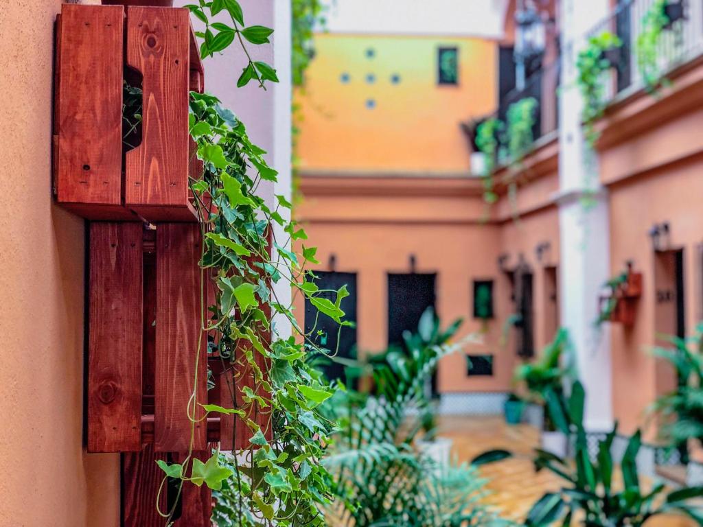 a bunch of ivy is growing on a building at Alojamiento Rural Flamingo in El Rocío