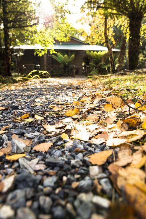 Fotografie z fotogalerie ubytování Cradle forest inn v destinaci Moina