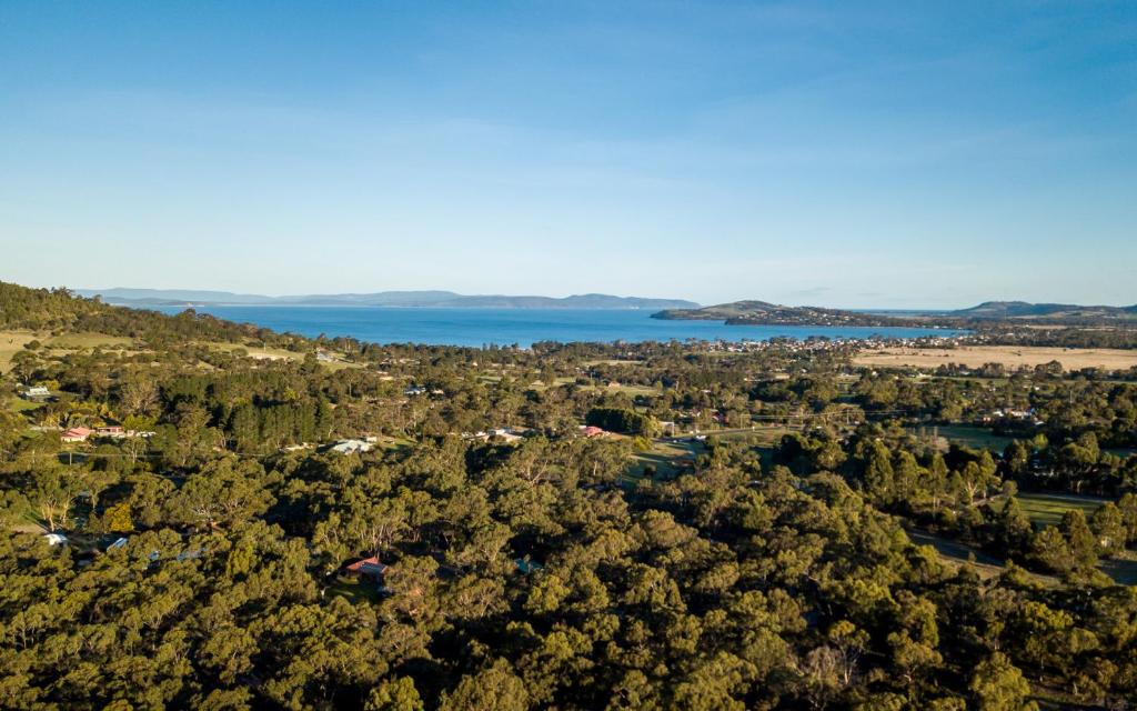 an aerial view of a lake and trees at Acton Park Holiday Units in Acton Park