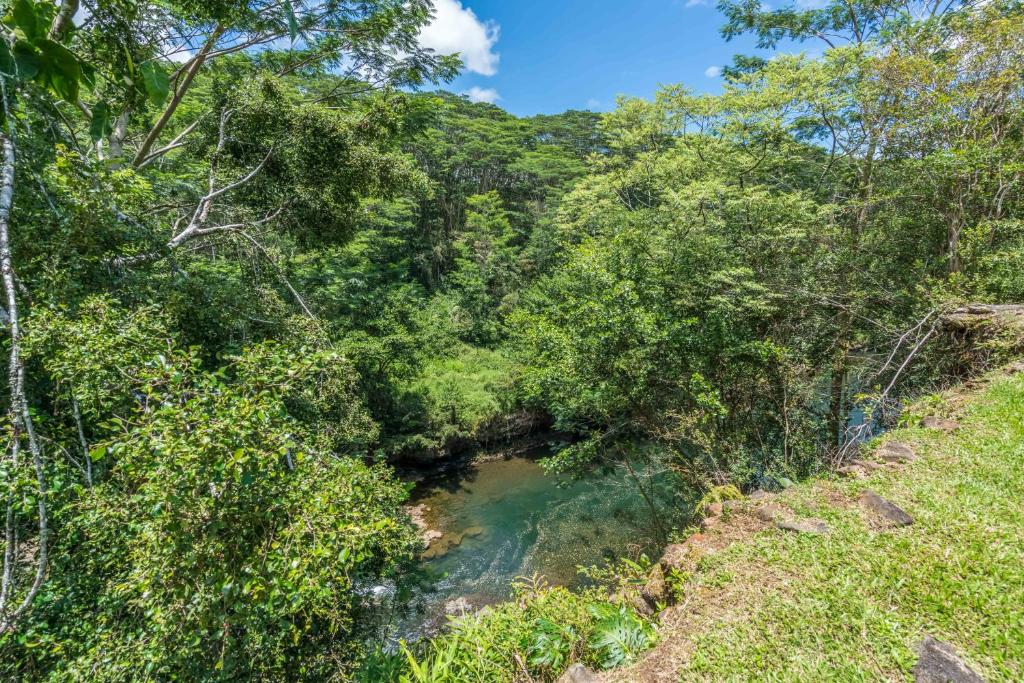 a river in the middle of a forest at Old Hawaiian Bed and Breakfast in Hilo