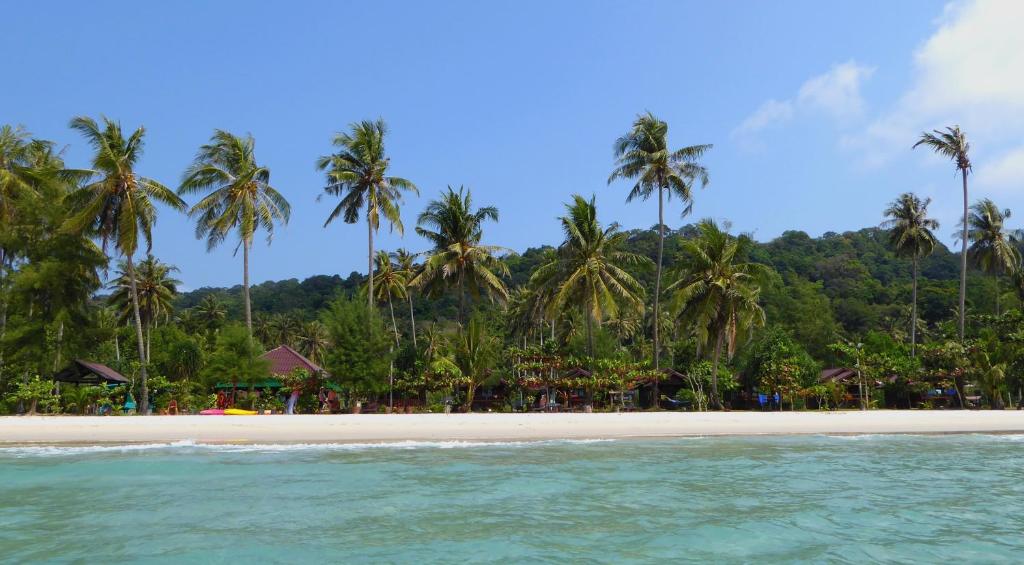 een strand met palmbomen en het water bij I-Lay House Koh Kood in Ko Kood