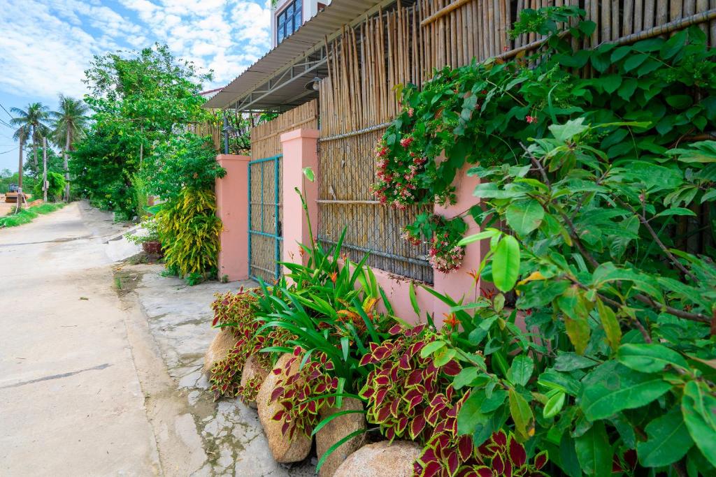 Zahrada ubytování Little Nap Homestay