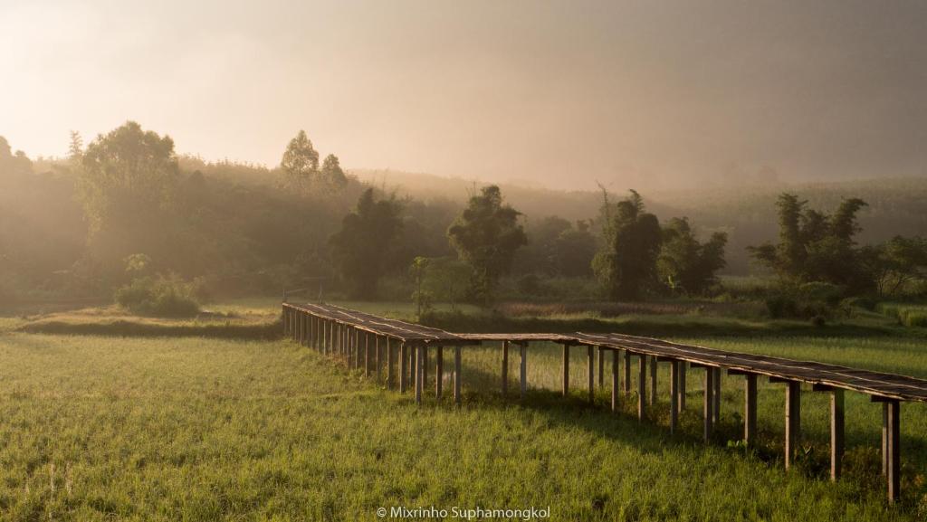 a wooden bridge in a field with trees and fog at Phuruarounmai Organic Living Resort in Loei