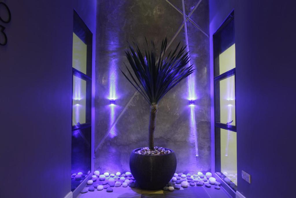 Fotografie z fotogalerie ubytování I am Jazz Hotel v destinaci Johor Bahru