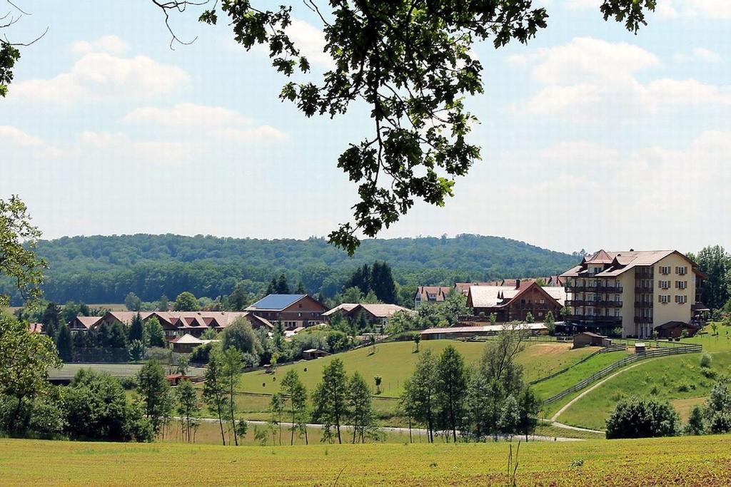 Příroda nedaleko hotelu