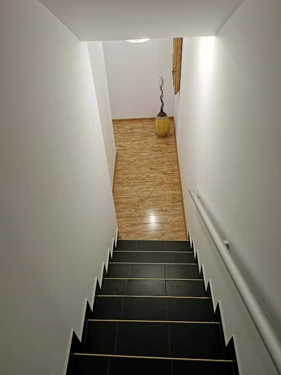 Fotografie z fotogalerie ubytování Radman's house v destinaci Niš