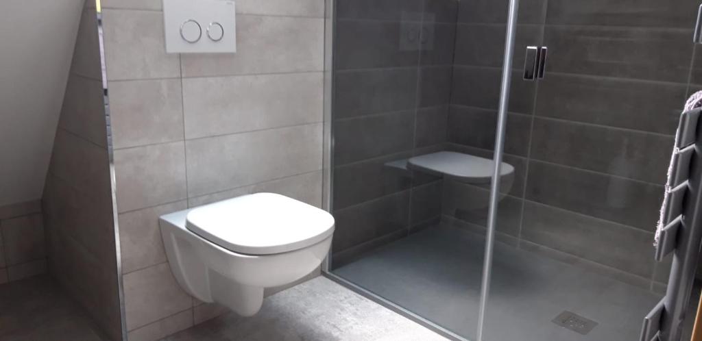 a bathroom with a toilet and a shower at Chambre d'hote Chez Liz in Maslives