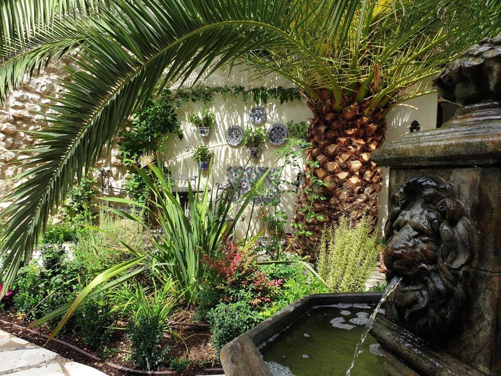 a garden with a fountain and a palm tree at Casa San Roque in Chinchón