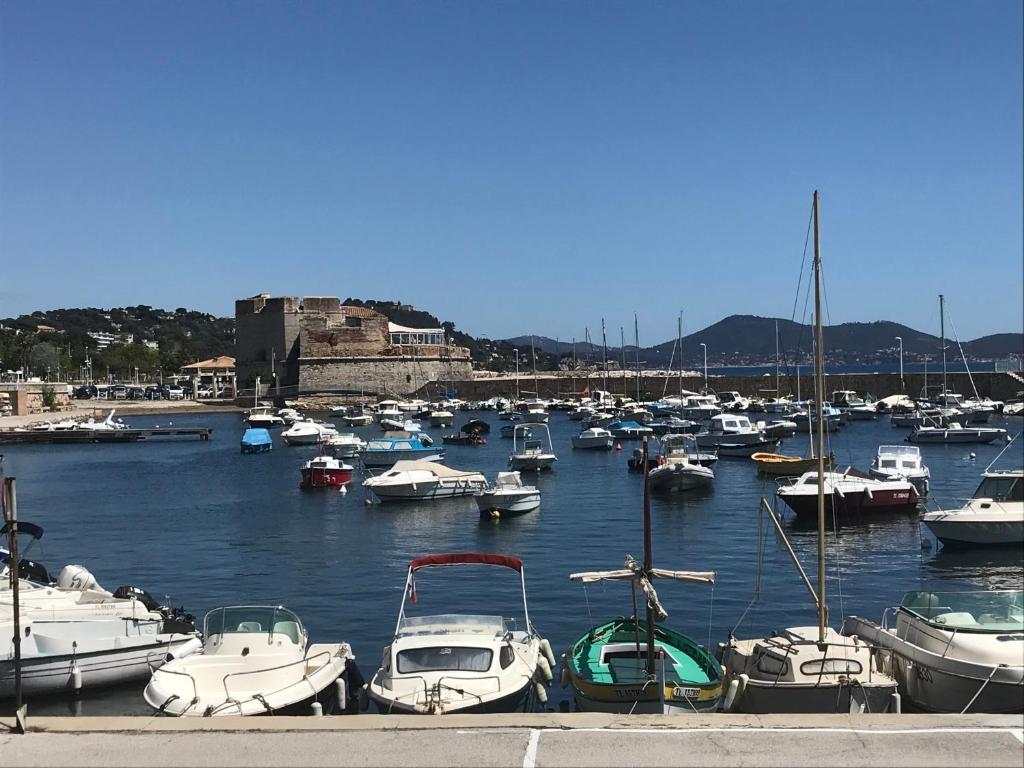 a bunch of boats are docked in a harbor at Grand T2 43m2 plages du Mourillon in Toulon