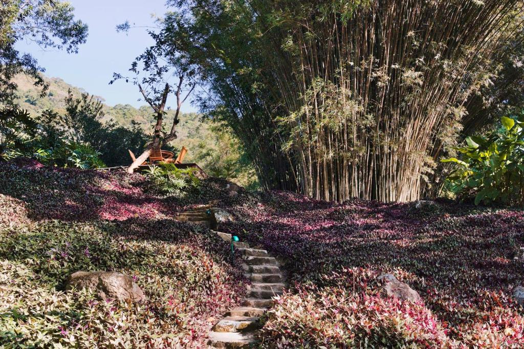 Zahrada ubytování O Sitio - Ilha Grande