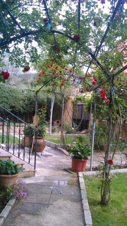 Zahrada ubytování Casa rural Las Erillas