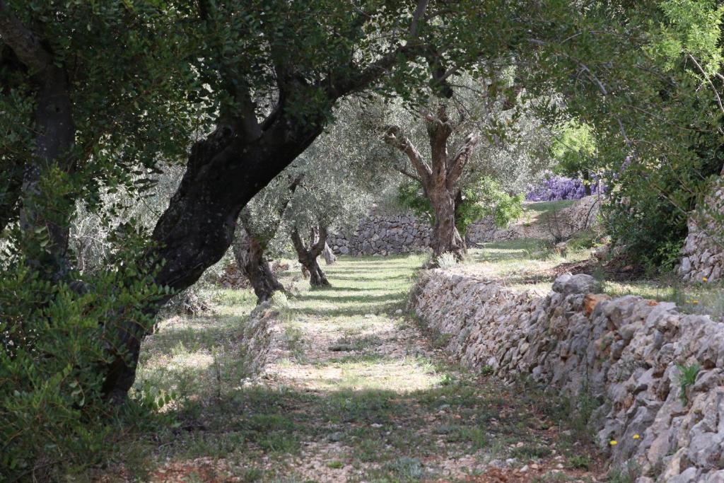 Villa Foia Vella - adults only, Benichembla – Precios ...