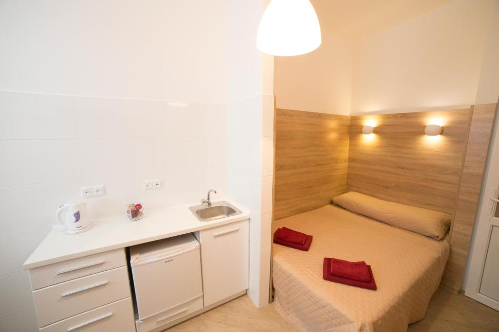 リヴィウにあるMini-Smart economy apartment on Saint Teodor 5の小さなバスルーム(シンク、ベッド付)