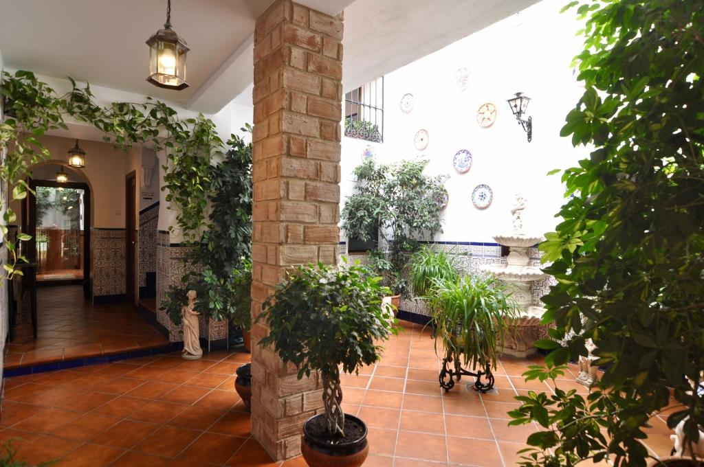 un pasillo con macetas en un edificio en Hospedería Los Angeles, en Córdoba