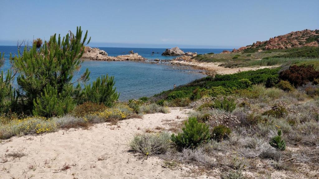 piaszczystą plażę z wodą w obiekcie Sardegna per 5 w mieście Isola Rossa