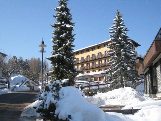 Life Hotels Des Alpes في فولاريا: مجموعة من الأشجار الثلجية المغطاة أمام المبنى