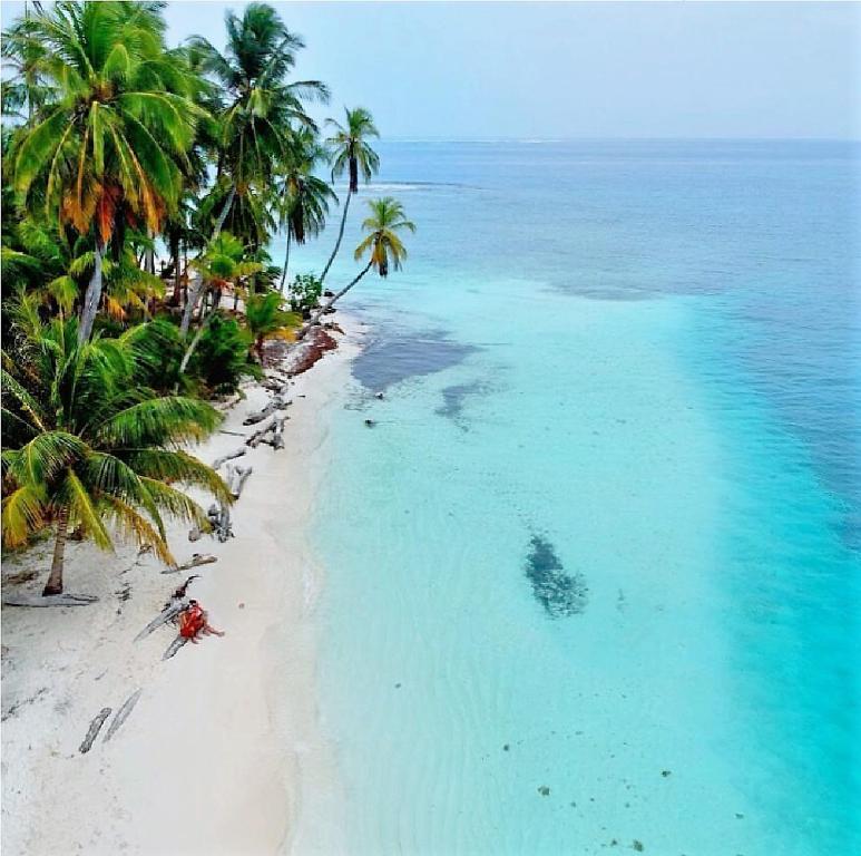 an aerial view of a beach with palm trees and the ocean at Private Room in San Blas Islands PLUS meals in Waisalatupo