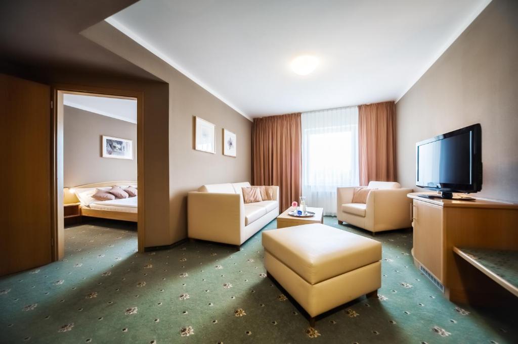 TV a/nebo společenská místnost v ubytování Prachárna Park Hotel Olomouc
